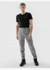 Мъжки спортни панталони 4F TROUSERS FNK M483