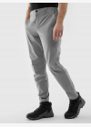 Мъжки спортни панталони 4F TROUSERS FNK M483