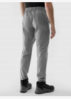 Мъжки спортни панталони 4F TROUSERS FNK M483