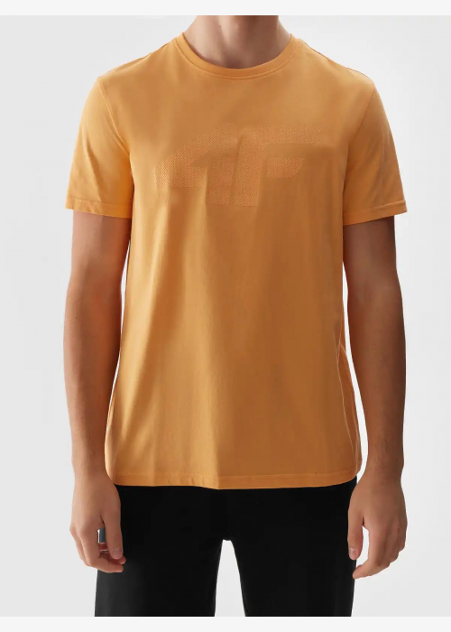 Спортна мъжка тениска 4F TSHIRT M1155