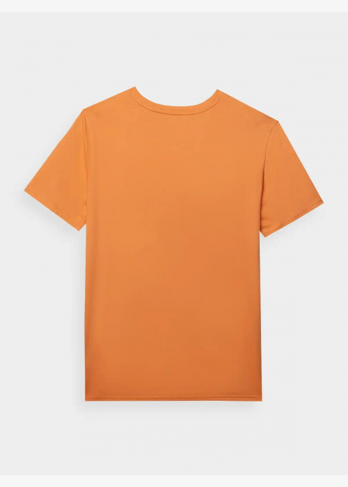 Спортна мъжка тениска 4F TSHIRT M1155