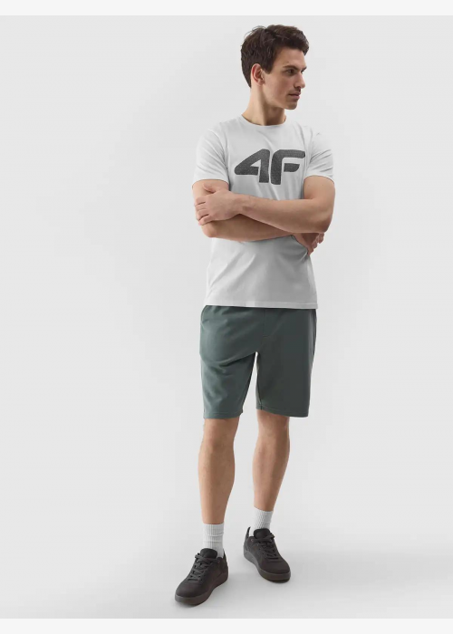 Спортна мъжка тениска на 4F TSHIRT M1155