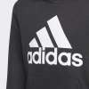 Детско-юношеска блуза ADIDAS B BL HD