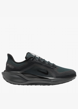 МАРАТОНКИ NIKE AIR ZM PEGASUS 41 GTX МАРАТОНКИ NIKE AIR ZM PEGASUS 41 GTX