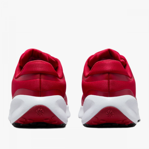 МАРАТОНКИ NIKE REVOLUTION 7 GS