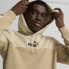 Мъжка блуза Puma ESS+ Block Hoodie TR